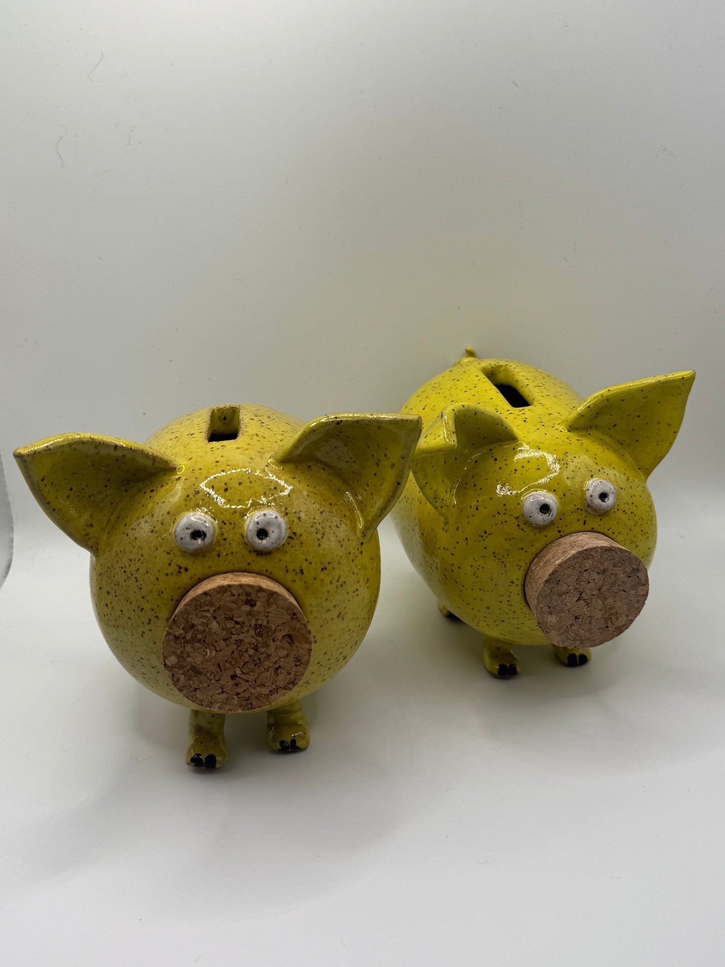 Handmade Ceramic Piggy Bank