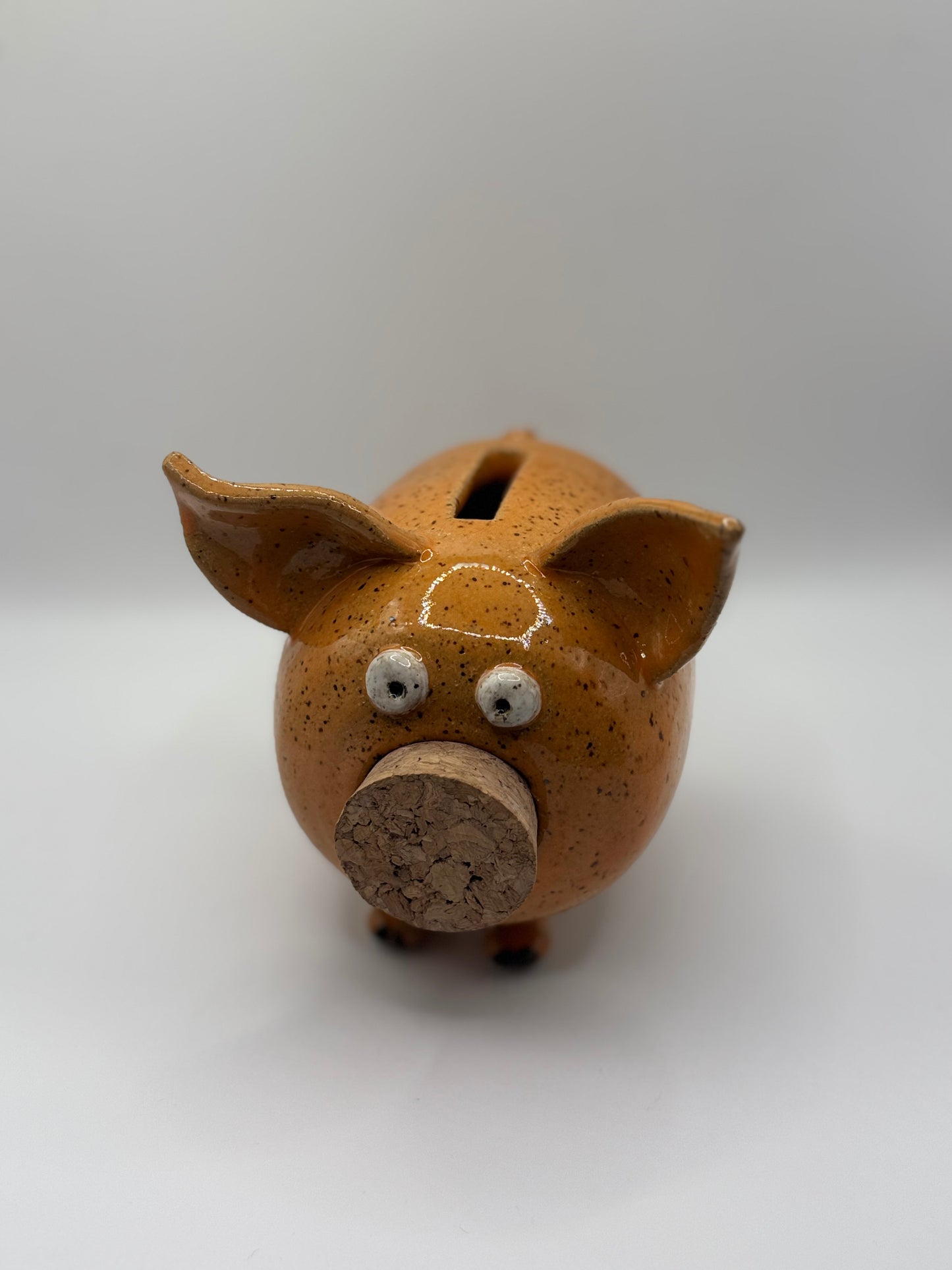 Handmade Ceramic Piggy Bank