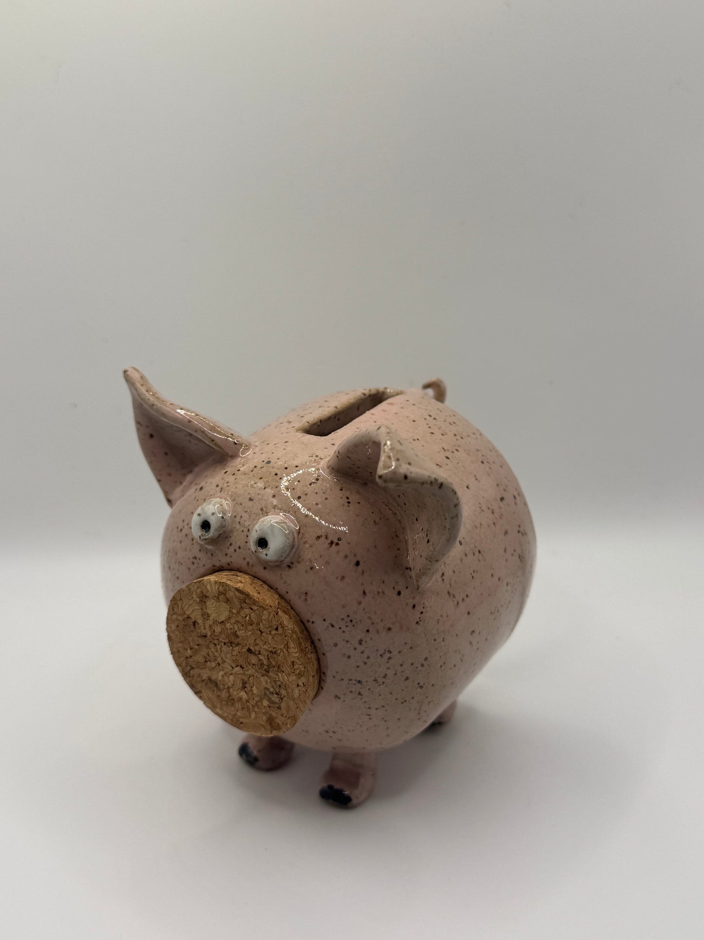 Handmade Ceramic Piggy Bank
