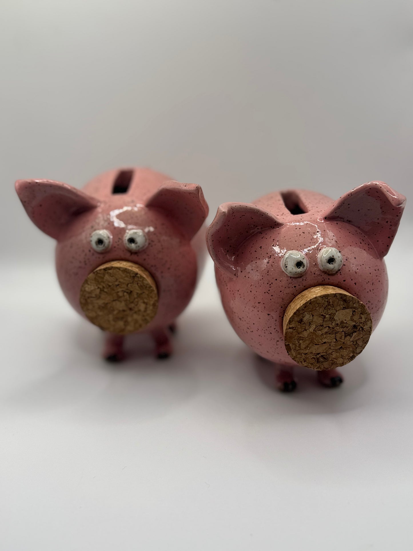 Handmade Ceramic Piggy Bank