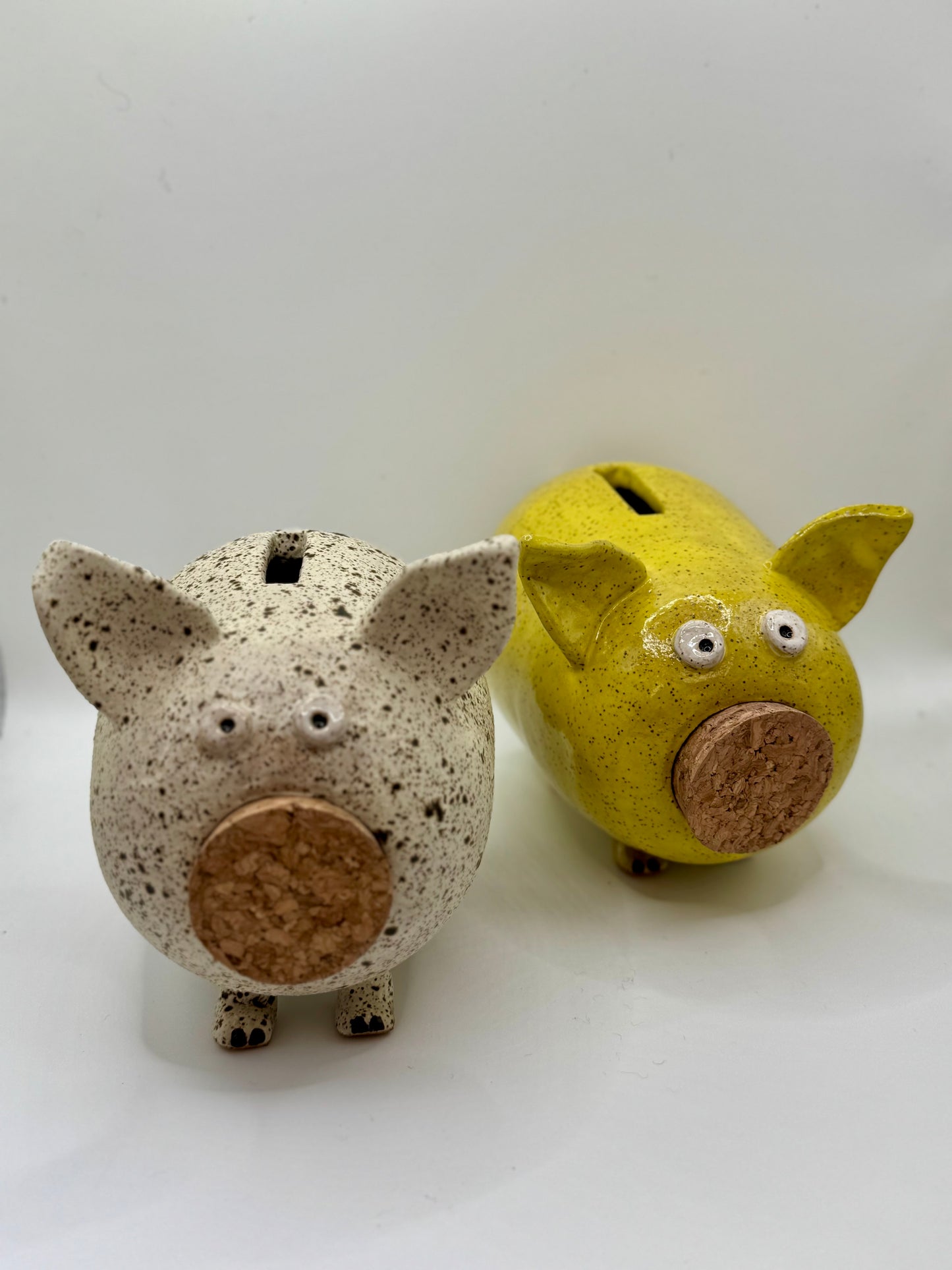 Handmade Ceramic Piggy Bank