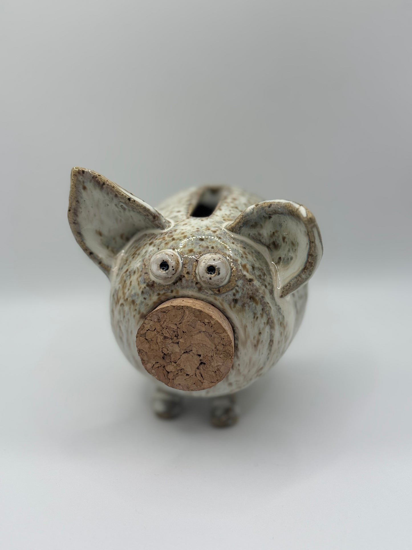Handmade Ceramic Piggy Bank