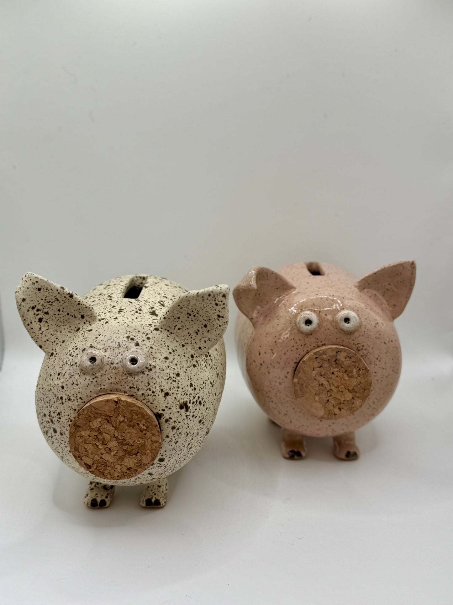 Handmade Ceramic Piggy Bank