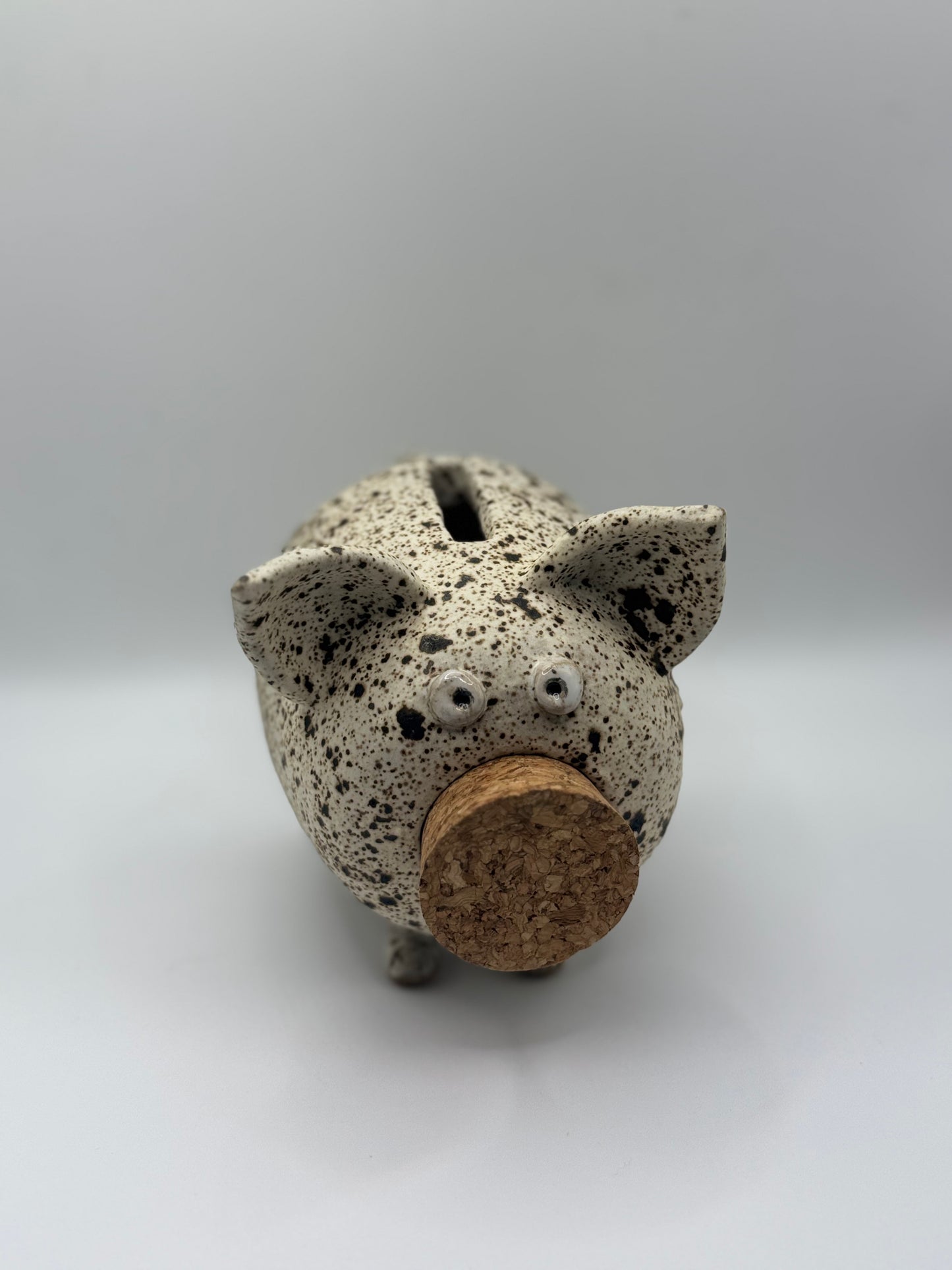 Handmade Ceramic Piggy Bank